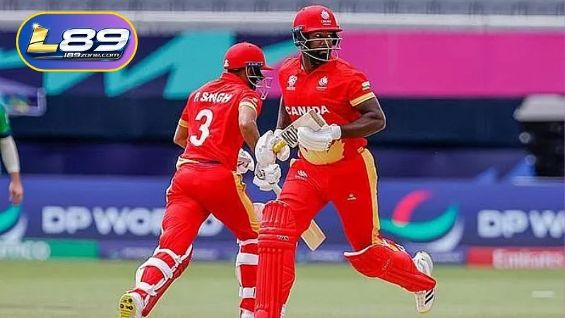A Comprehensive Overview of World Cup Cricket Betting